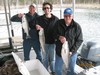 (04/12/2015) - Nice Striped Bass